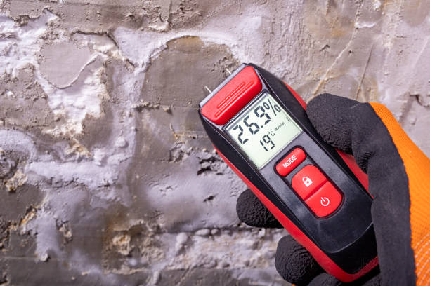 Best Residential Mold Remediation in Loveland Park, OH