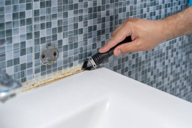 Best Kitchen Mold Remediation in Loveland Park, OH